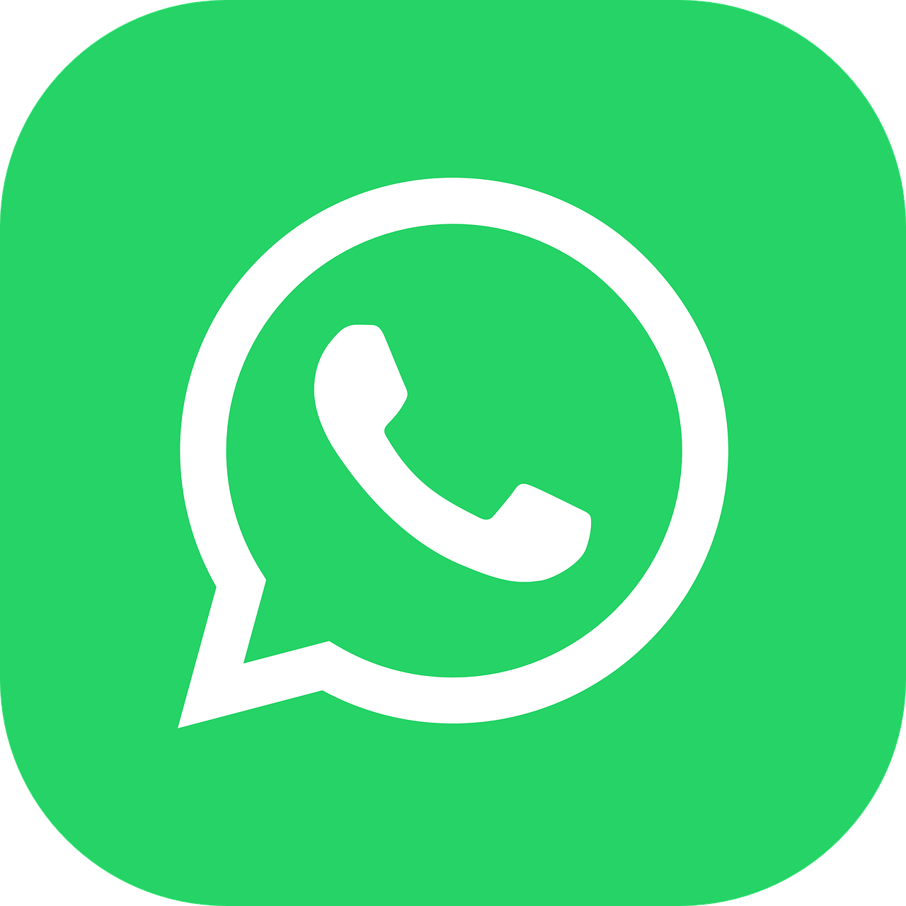 WhatsApp Icon